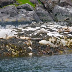 Rocks in river