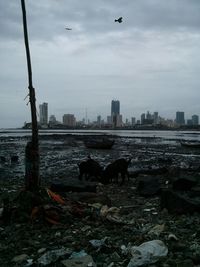 View of cityscape against cloudy sky