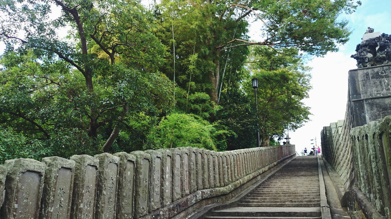 FOOTBRIDGE BY TREES