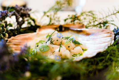 Close-up of meal served in plate