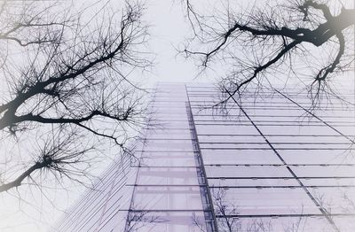 Low angle view of building against sky