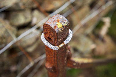 Close-up of rusty metal