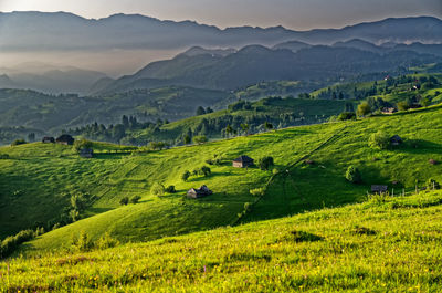 Scenic view of agricultural field against mountains
