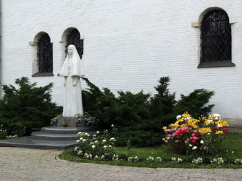 Flower trees against built structure