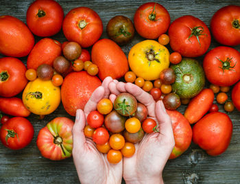 High angle view of tomatoes in hand