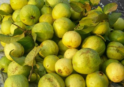 Close-up of fruits