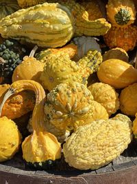 High angle view of pumpkins for sale at market stall