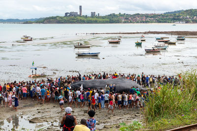 People are seen watching a dead humpback whale calf on coutos beach in the city of salvador, bahia.