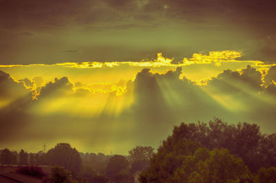 Low angle view of trees against sky during sunset