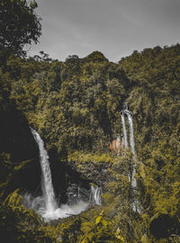 Scenic view of waterfall in forest against sky