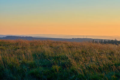 Scenic view of field against sky during sunset