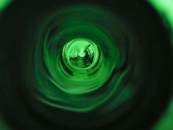 Close up of green leaf