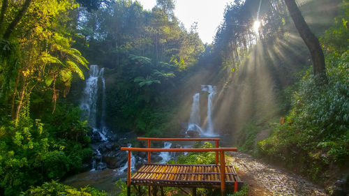 Scenic view of waterfall in forest