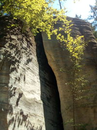 Low angle view of rock formation