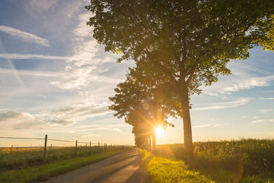 Empty road by trees on field against sky