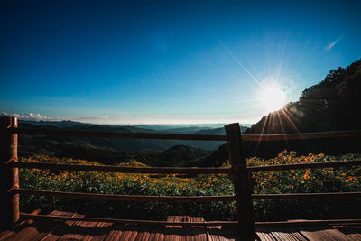 Scenic view of field against bright sun