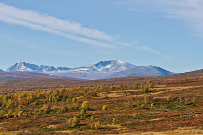 Scenic view of landscape against sky