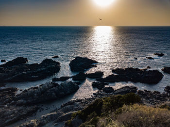 Scenic view of sea against sky during sunset