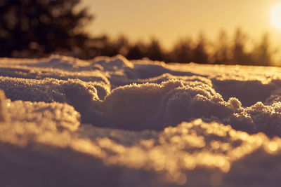 Close-up of snow on land against sky