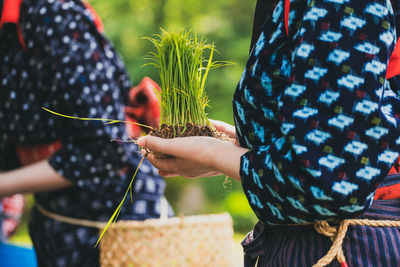 Rice-planting traditional festival in shirakawago 