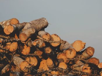 Low angle view of firewood against sky
