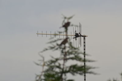 Low angle view of television aerial against sky