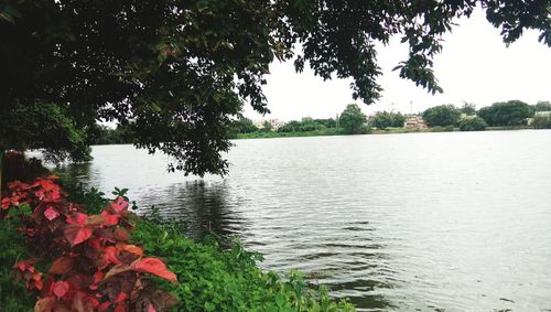 Scenic view of lake against sky