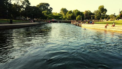 Reflection of trees in water