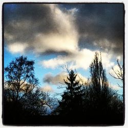 Low angle view of trees against cloudy sky