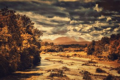 Scenic view of landscape against cloudy sky