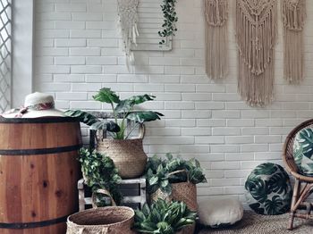 Potted plants against wall at home