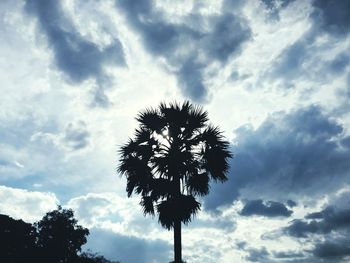 Low angle view of silhouette coconut palm tree against sky