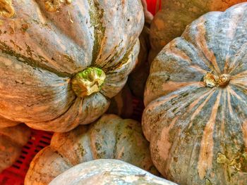 Close-up of pumpkins