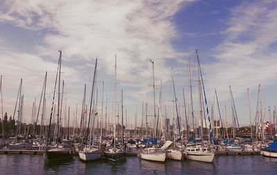 Sailboats moored in harbor