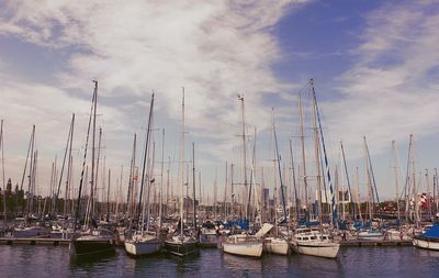 Sailboats moored at harbor against sky