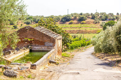 Road amidst plants and landscape against sky