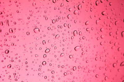 Full frame shot of water drops on window