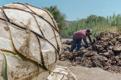 Rear view of man working at farm