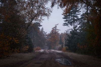 Wet road amidst trees against sky