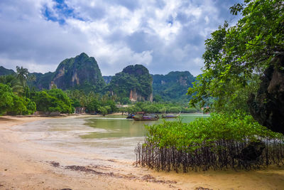 Scenic view of river by trees against sky