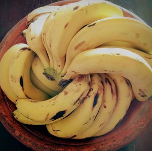 Close-up of fruit in plate