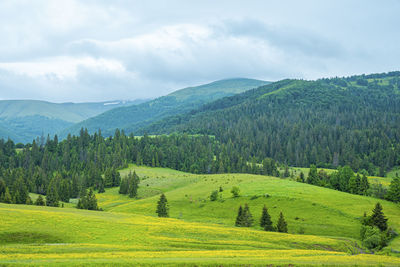 Scenic view of landscape against sky