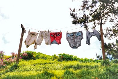 Low angle view of clothes drying on clothesline