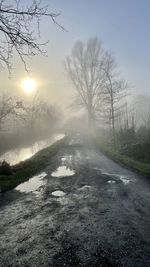 Bare trees by road against sky during sunset