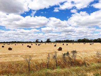 Hay bales on field against sky