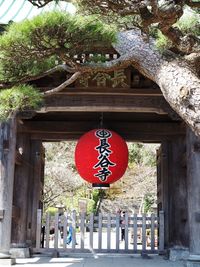 Red lanterns hanging on tree