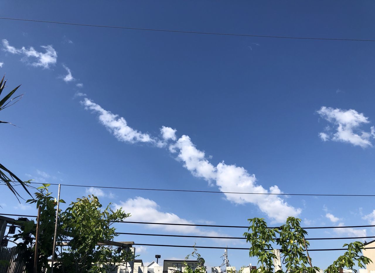 LOW ANGLE VIEW OF CABLES AGAINST BLUE SKY