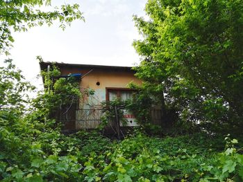 Low angle view of house and trees against sky