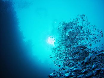 People swimming in sea