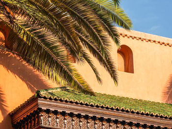 Low angle view of palm tree against sky